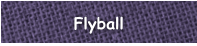 Flyball