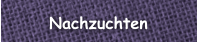 Nachzuchten