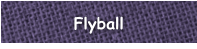 Flyball